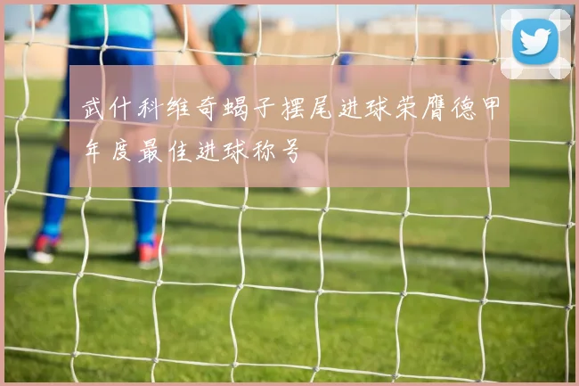 武什科维奇蝎子摆尾进球荣膺德甲年度最佳进球称号